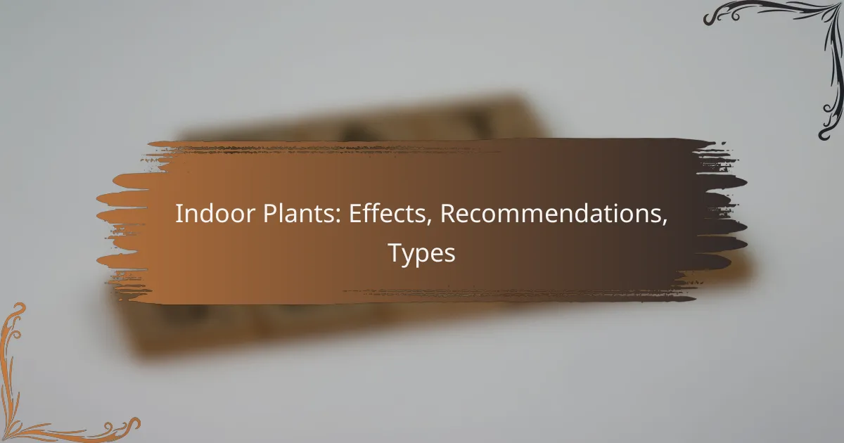 Indoor Plants: Effects, Recommendations, Types