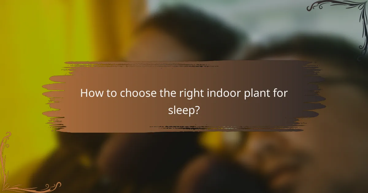 How to choose the right indoor plant for sleep?